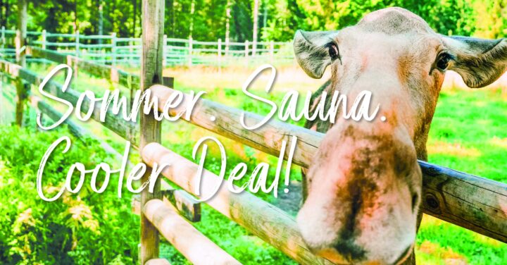 SommerDeal Kombiticket 37,- €*