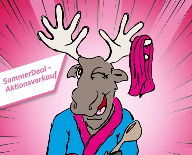 SommerDeal Kombiticket 35,- €*